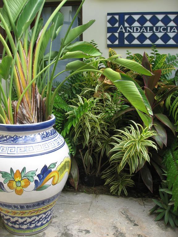 Casa de hóspedes Andalucia 3*